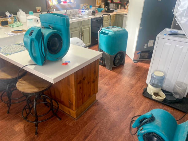 Best Professional water damage repair  in Stratford, TX