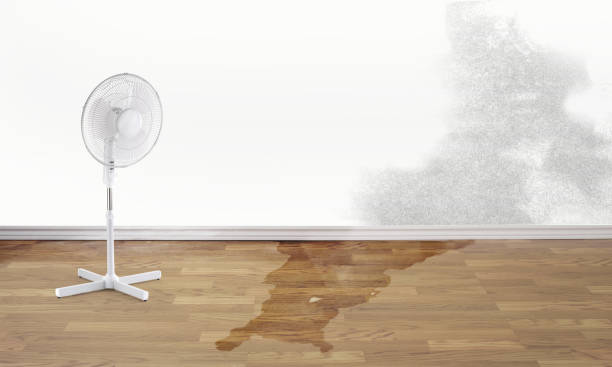 Water damage restoration process in Stratford, TX