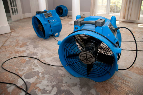 Trusted Stratford, TX Water damage restoration Experts