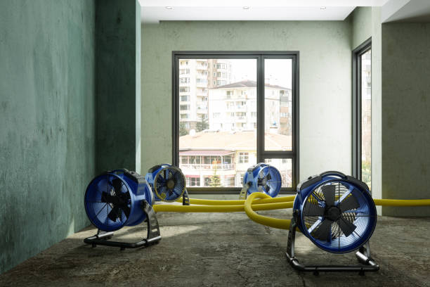 Best Basement water damage restoration  in Stratford, TX