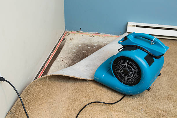 Best Basement water damage restoration  in Stratford, TX